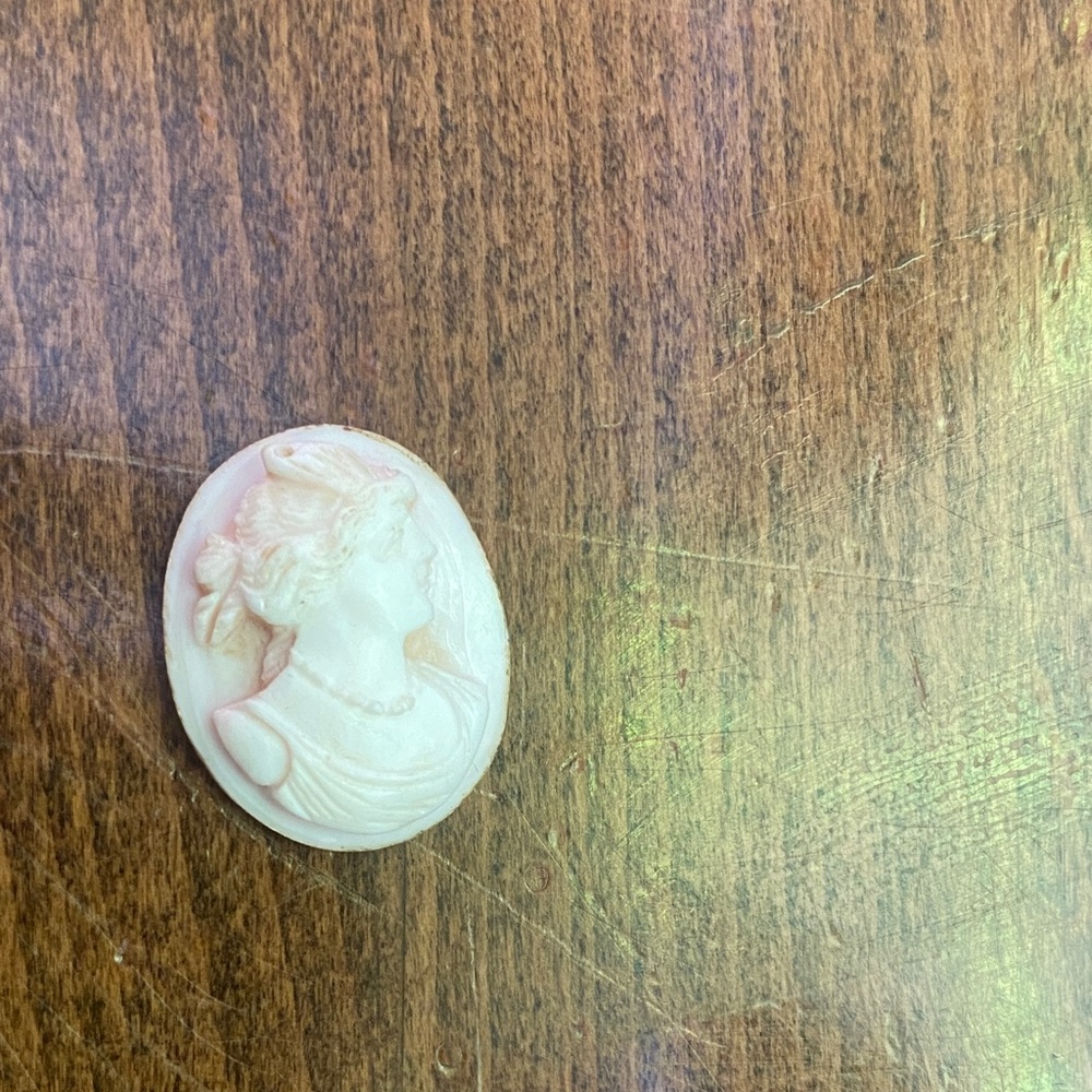 Elegant Cream Cameo Brooch